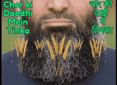 a man with a beard has wheat stalks growing out of it
