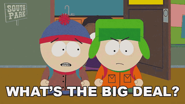 two south park characters standing next to each other with the words " what 's the big deal "