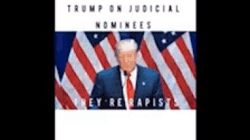 a poster for trump on judicial nominees shows him standing in front of american flags