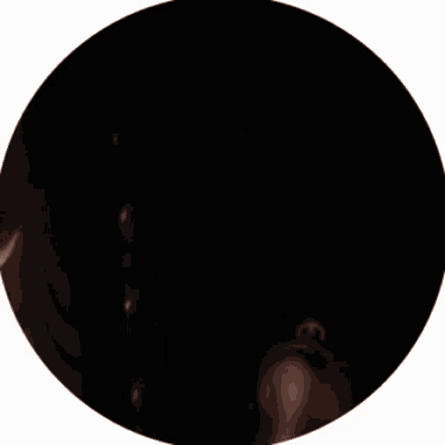 a close up of a person 's face in a black circle .