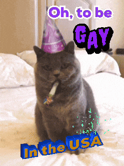 a cat wearing a party hat is sitting on a bed with the words oh to be gay in the usa
