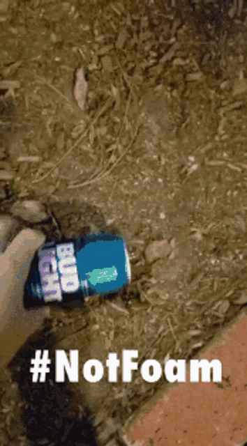 a person is holding a bud light can in the dirt
