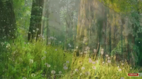 Nature Anime GIF - Nature Anime Flower GIFs
