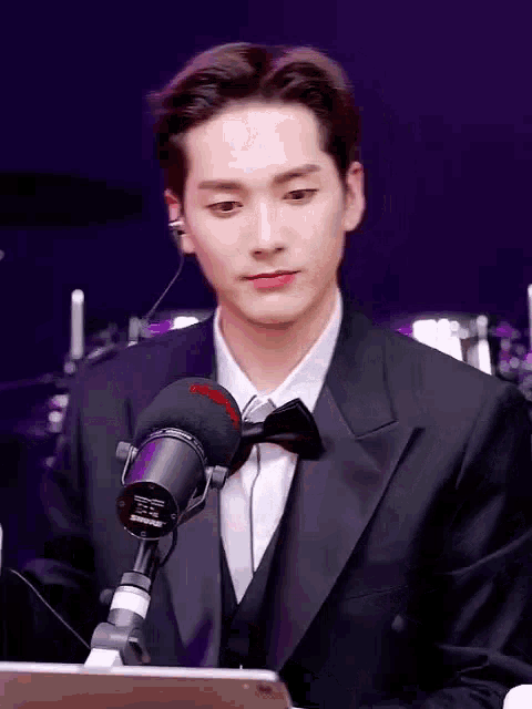 a man in a suit and bow tie is talking into a microphone .