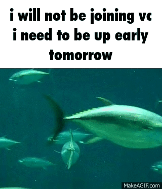 I Will Not Be Joining Vc Fish Vc GIF - I Will Not Be Joining Vc Fish Vc I Need To Be Up Early GIFs