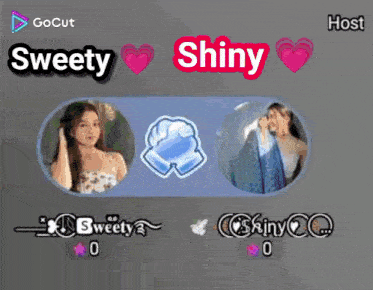 a screenshot of a video game with the words sweety and shiny