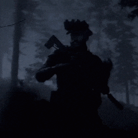 a silhouette of a man holding a gun in a dark forest at night