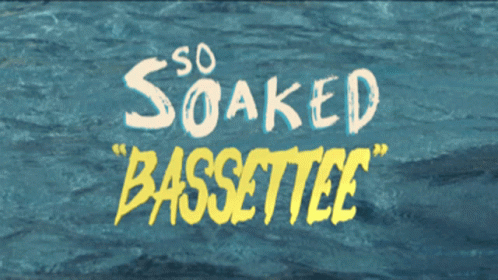 Sosoaked Bassettee GIF - Sosoaked Bassettee Soaked GIFs