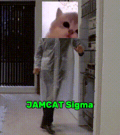 a picture of a person with a cat 's head and the words jamcat sigma above them