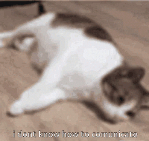 I Dont Know How To Comunicate GIF - I Dont Know How To Comunicate GIFs