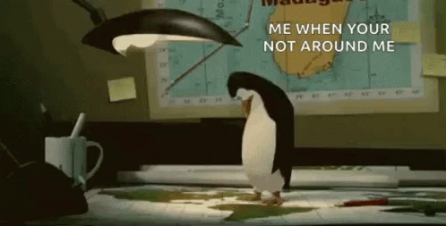 Penguin Penguins GIF - Penguin Penguins Pingvin GIFs