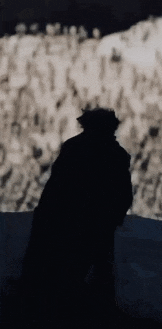 a silhouette of a man in a black coat and hat standing in front of a crowd .