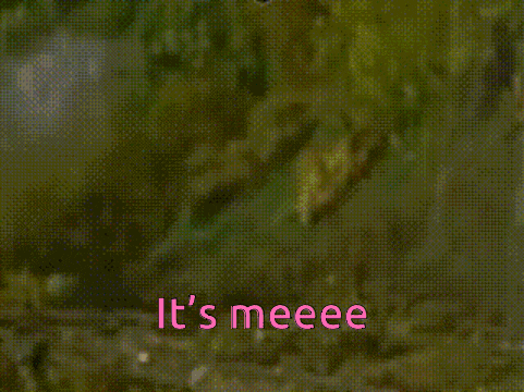 a picture of a train with the words " it 's meeee " written on it