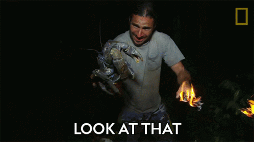 Look At That Primal Survivor GIF - Look At That Primal Survivor Luring In The Coconut Crab GIFs