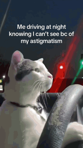 Astigmatism Driving GIF - Astigmatism Driving Cat GIFs