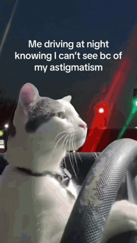 Astigmatism Driving GIF