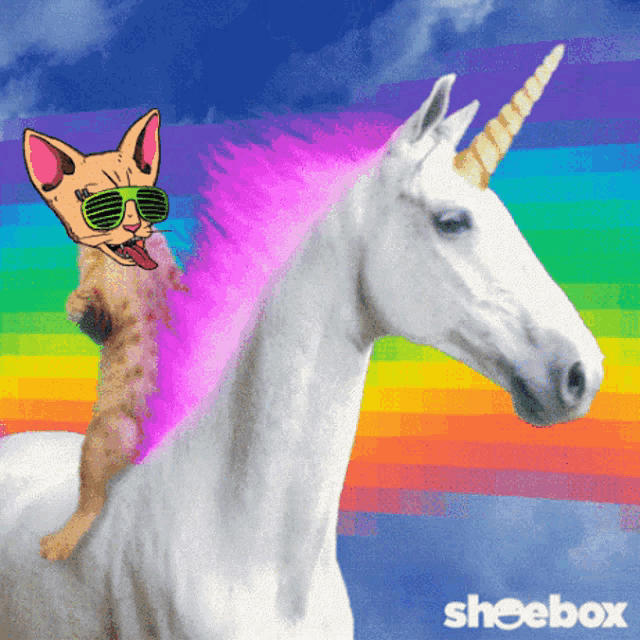 a cat is riding on the back of a white unicorn