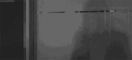 it is a black and white photo of a person 's hand behind a glass door .