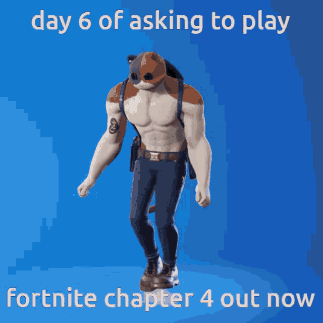 a picture of a cat with the words day 6 of asking to play fortnite chapter 4 out now on the bottom