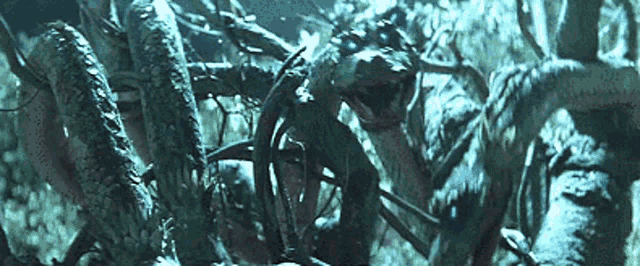 a giant spider is crawling through a tree in the dark .