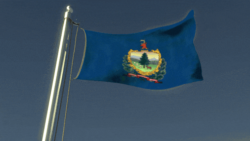 a flag that says ' vermont ' on it is flying in the wind