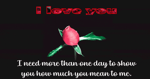 a pink rose with the words i love you written above it
