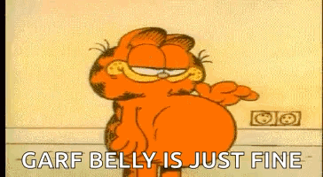 Garfield Belly GIF - Garfield Belly Full GIFs