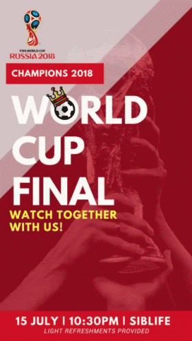 Wcsiblife World Cup Final GIF - Wcsiblife World Cup Final Champions GIFs