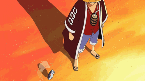 monkey d luffy from one piece stands in front of a sunset