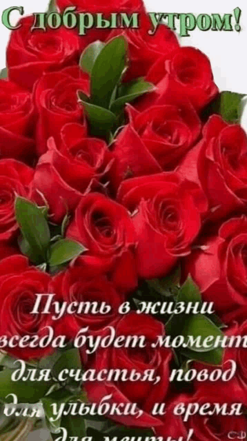 a bunch of red roses with green leaves and a greeting in russian