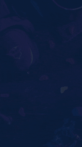 a poster for the lestari family with a blue background