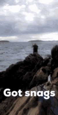 a man fishing on a rocky shoreline with the words got snags written below him