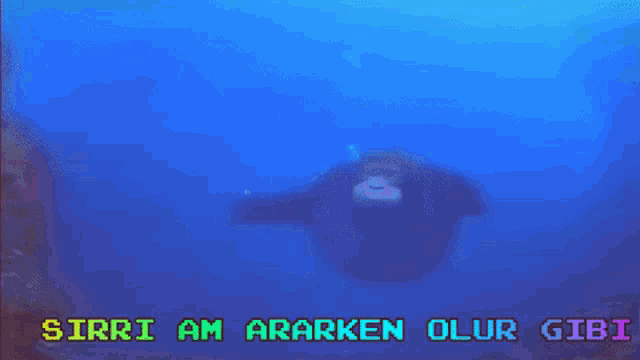 a video of a gorilla with the words " sirri am ararken olur gibi " written above it