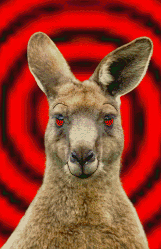 a kangaroo with red eyes against a red spiral background