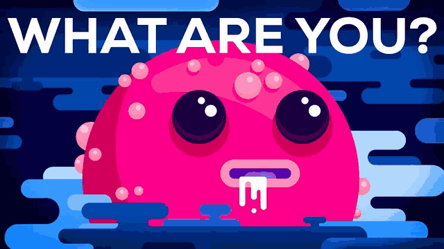 an illustration of a jellyfish with the words " what are you " below it