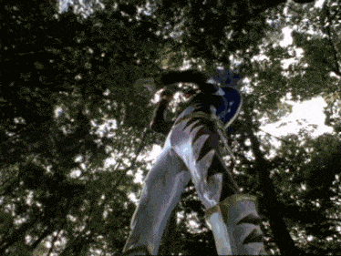 a person in a superhero costume is standing in a forest