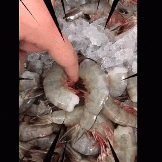 Seafood Shrimp GIF - Seafood Shrimp GIFs