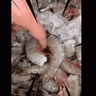 a person is touching a shrimp with their finger .