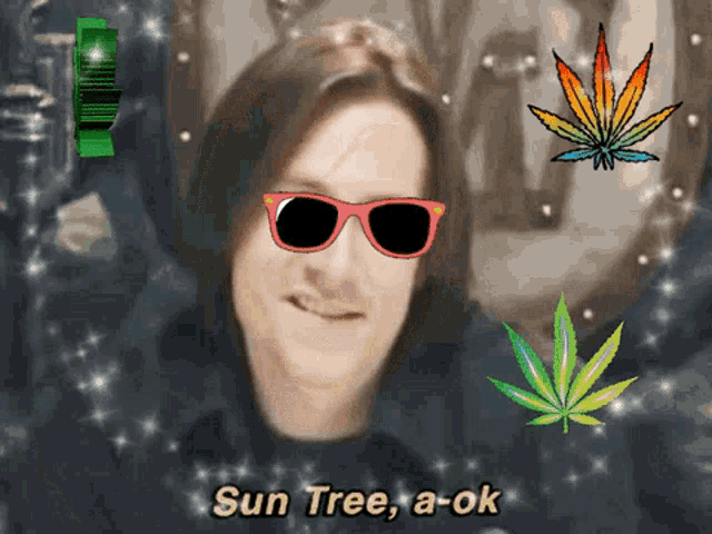 a man wearing sunglasses says sun tree a-ok with marijuana leaves in the background