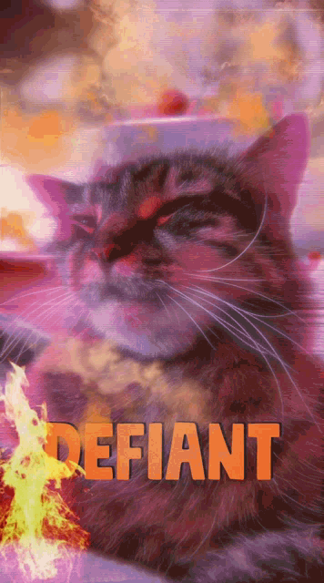 Defiant Earl Defiant GIF - Defiant Earl Defiant Cat GIFs