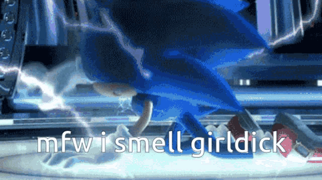 a picture of sonic the hedgehog with the words mfw i smell girldick on the bottom