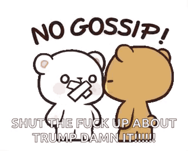 a cartoon of two teddy bears fighting with the words `` no gossip ! shut the fuck up about trump damn it '' .