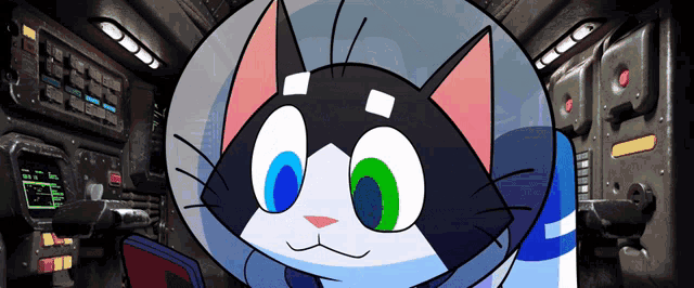 Space Cat Shocked Cat GIF - Space Cat Shocked Cat Devin Townsend GIFs