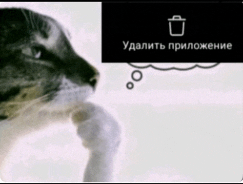 a picture of a cat with a thought bubble above it that says " удалить приложение "