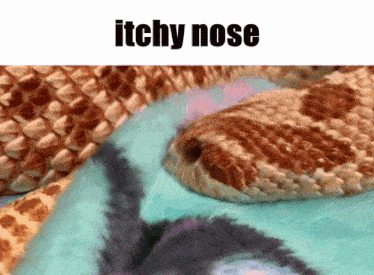 Itchy Nose GIF - Itchy Nose Snake GIFs