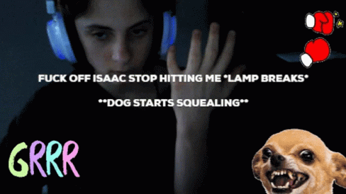 Isaac Stop Angry Dog GIF - Isaac Stop Angry Dog Boxing Gloves GIFs