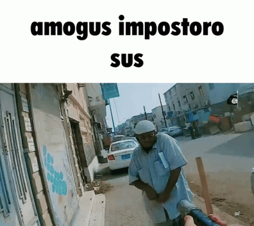 Among Us Amogus GIF - Among Us Amogus Among GIFs