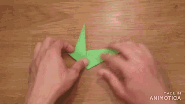 a person is making an origami bird with the words made in animotica in the corner
