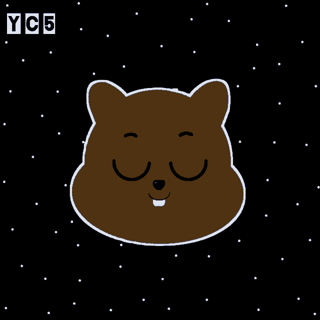 a cartoon drawing of a squirrel with the letters yc5 in the corner