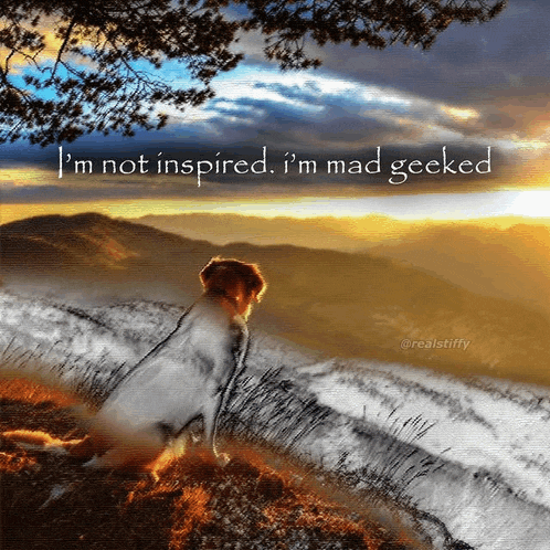 a dog sitting on top of a hill with the words i 'm not inspired i 'm mad geeked above it